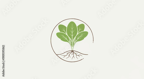 Circular emblem featuring a green leafy plant with visible roots
