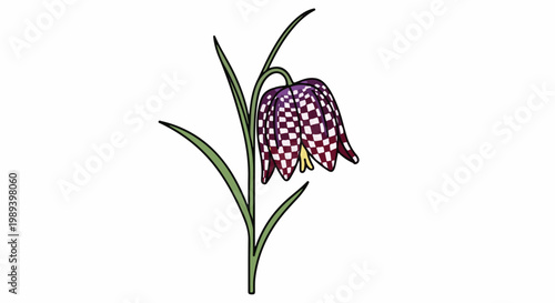 A solitary bell-shaped flower with a checkerboard pattern