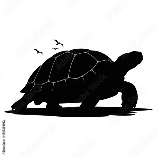 Tortoise Silhouette Walking with Birds Flying.