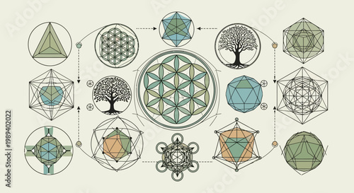 Sacred Geometry Infographic with Flower of Life and Platonic Solids