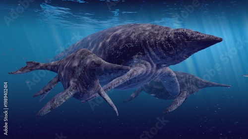 4k 3D animation depicts two colossal prehistoric marine reptiles, Shastasaurus and Shonosaurus, swimming in close proximity to each other in the deep, murky blue ocean of the Cretaceous period.