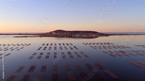 The Thau lagoon and its tables at sunrise