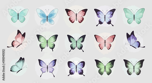 Colorful butterflies flutter around flowers and leaves in a garden