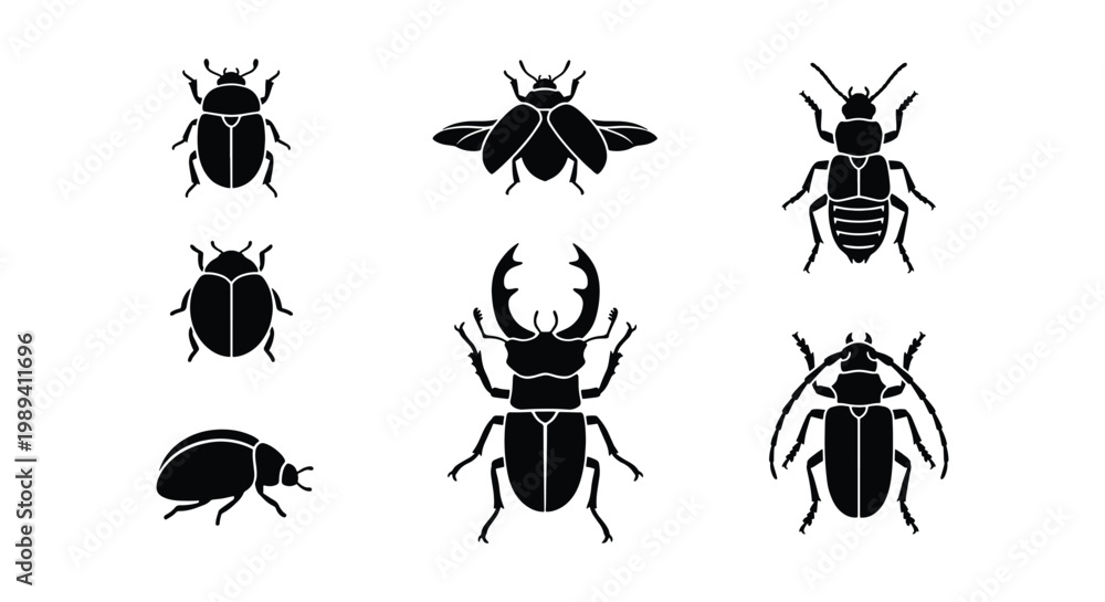 Fototapeta premium Black beetle silhouettes set, 7 insect vector icons collection, stag beetle and ladybug graphic elements, minimalist bug illustrations for nature design