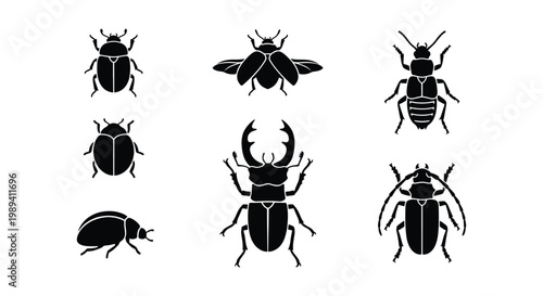 Black beetle silhouettes set, 7 insect vector icons collection, stag beetle and ladybug graphic elements, minimalist bug illustrations for nature design
