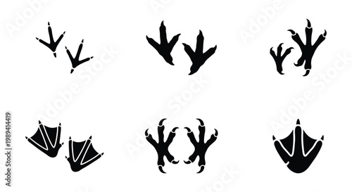 Bird footprint silhouette collection, black avian paw prints and webbed duck feet icons, 6 vector sets of wild bird tracks for nature design