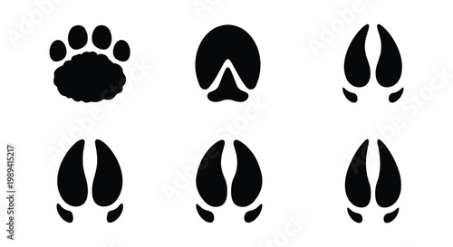 Animal track silhouettes set, black paw and hoof prints collection, 6 vector icons of wildlife and livestock footprints for nature education and hunting