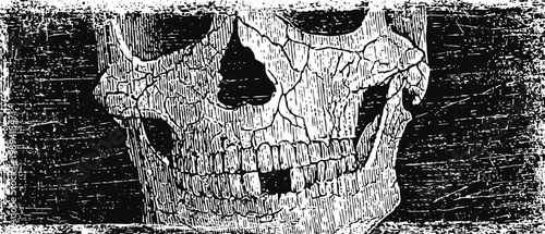 Detailed vintage engraving of human skull with cracked texture on dark background