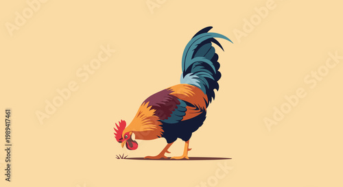 Colorful rooster with vibrant feathers and a red comb pecking for food on the ground against a plain background.