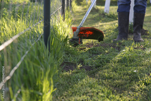 Quadro em tela Close Up of Grass Trimmer Cutting Along Fence Edge – Garden Lawn Maintenance Con