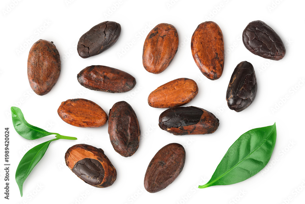 Obraz premium cocoa beans isolated on white background. Top view. Flat lay