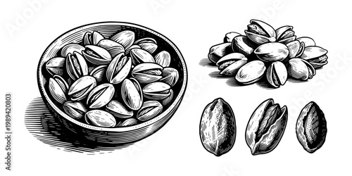 Bowl of pistachios with whole and cracked nuts shown in engraving style on white background, illustrating a natural food concept
