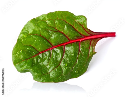 Fresh Green Swiss Chard Leaf With Vibrant Red Veins And Water Droplets Isolated On A White Background Studio Photography Macro Food Shot