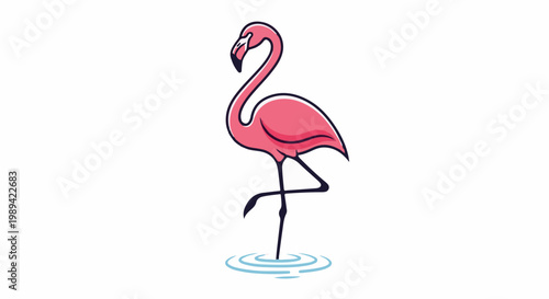 Pink flamingo standing on one leg in water