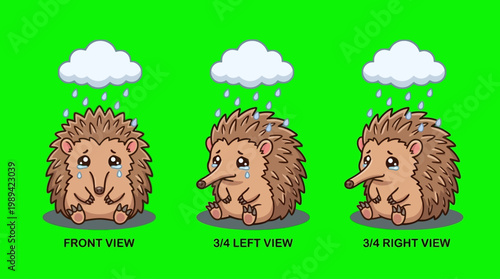 Sad Hedgehog Crying in the Rain Showing Different Views