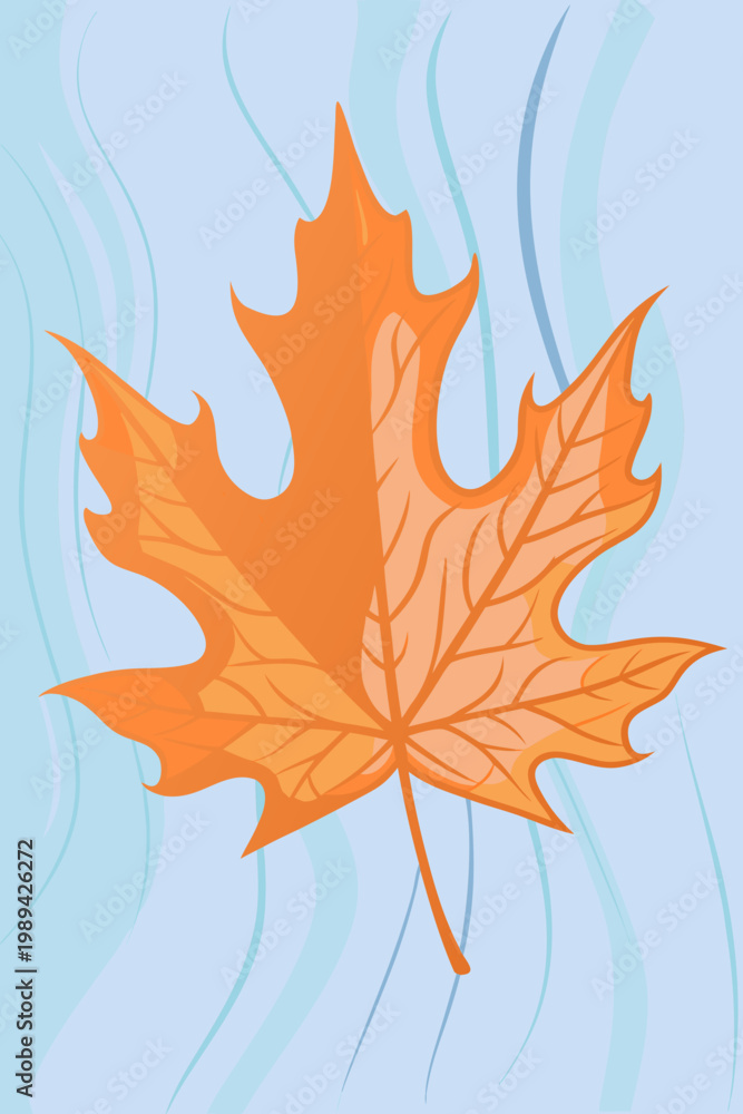 Obraz premium A vibrant orange maple leaf against a soft wavy light blue background