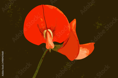 A vibrant digitally illustrated red sweet pea flower in close up detail