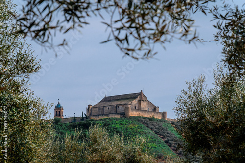 Montilla castle and bell tower standing on a hill, overlooking green olive groves under a clear sky in andalusia, spain