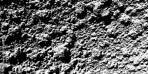 Abstract black and white texture resembling weathered stone or organic patterns