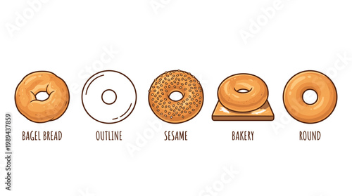 Delicious freshly baked bagels are beautifully illustrated in various styles, including plain, outline, sesame, and bakery-themed designs, showcasing their diverse and appealing forms.