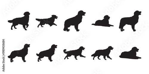 Dog silhouette set. Black vector icons of golden retrievers in different poses isolated on a white background.