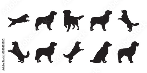 Resting golden retriever silhouettes. Various calm dog poses like sitting and lying down for peaceful pet lifestyle graphic elements.