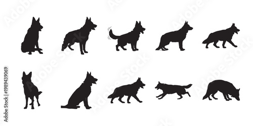 German shepherd canine profile silhouettes. Set of various dog positions featuring standing and motion for professional pet industry assets.