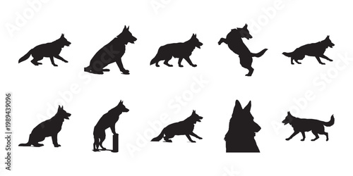 German shepherd dog silhouettes set. Collection of active canine poses including sitting and standing for pet branding and graphic design.