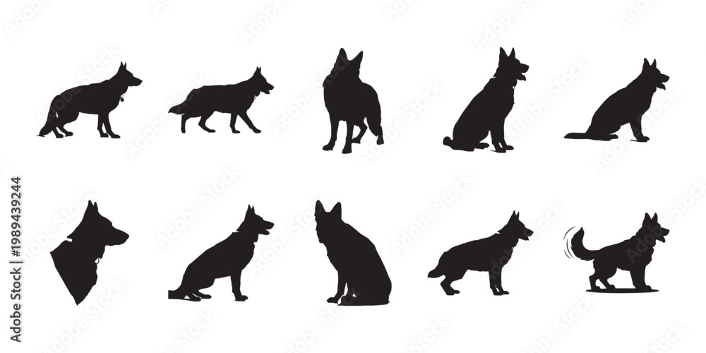 Obraz premium German shepherd dog silhouettes set. Collection of canine poses featuring various standing and sitting positions for professional assets.