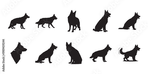 German shepherd dog silhouettes set. Collection of canine poses featuring various standing and sitting positions for professional assets.
