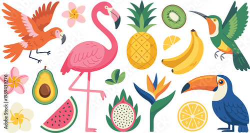 Tropical cartoon illustration with flamingo parrot hummingbird fruits and flowers colorful flat minimalist vector composition on white background