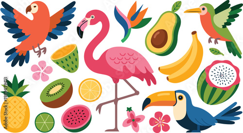 Tropical cartoon illustration with flamingo parrot hummingbird fruits and flowers colorful flat minimalist vector composition on white background