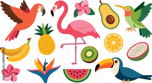 Tropical cartoon illustration with flamingo parrot hummingbird fruits and flowers colorful flat minimalist vector composition on white background