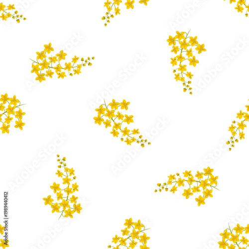 Cassia fistula flowers forming a seamless pattern on a transparent background