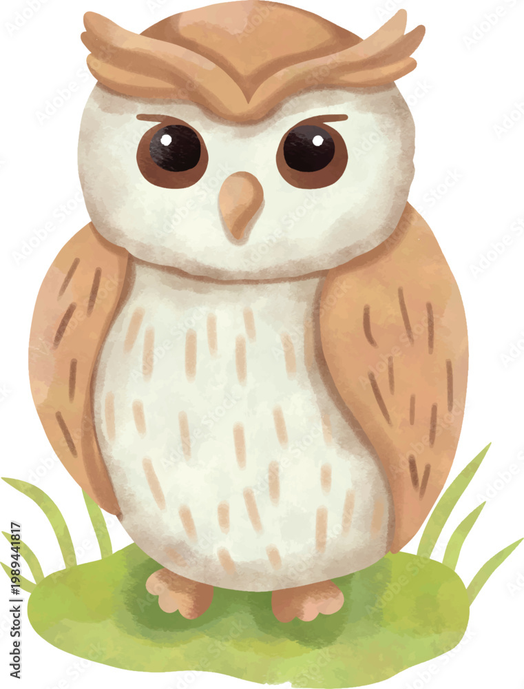 Obraz premium Cute Owl Watercolor Clipart, Woodland Animal Illustration