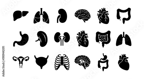 Human internal organs icon set, 18 black silhouette medical symbols, anatomical body parts vector collection for healthcare infographics and education