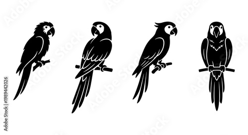 Black parrot silhouette vector set, tropical macaw bird icons on branches, exotic wildlife illustrations for logo design and nature branding