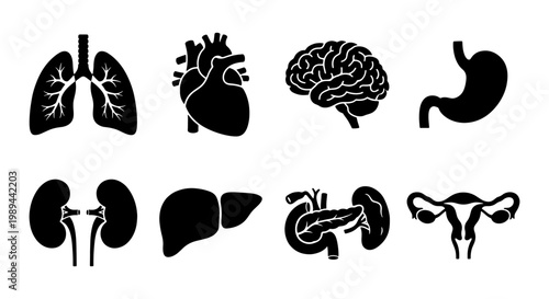 Human internal organs icon set, 8 black silhouette medical vector illustrations, anatomical body parts for healthcare infographics and education