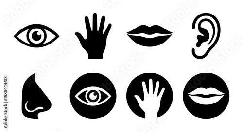 Human sensory icons set, five senses vector symbols, black anatomy silhouettes