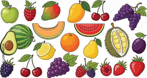 Fresh tropical fruits collection with watermelon, mango, avocado, grapes, berries and citrus vector illustration colorful healthy food set