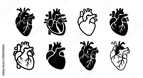 Anatomical human heart icons set, 8 black and white medical vector illustrations, realistic cardiac organ symbols for healthcare and cardiology