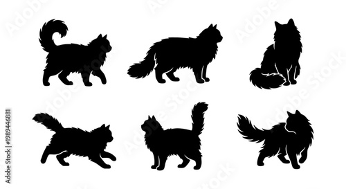 Fluffy cat silhouettes set, longhair feline vector icons in various poses, black domestic cat profile collection, 6 pet animal elements for logo design