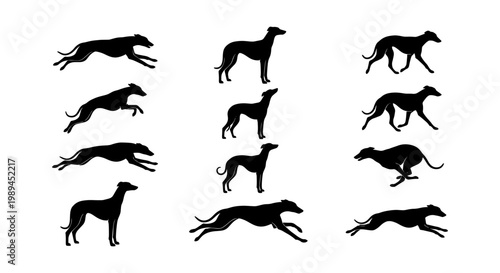 Greyhound dog silhouette collection, 11 black racing dog vector icons, sighthound running and standing poses, athletic whippet animal shapes