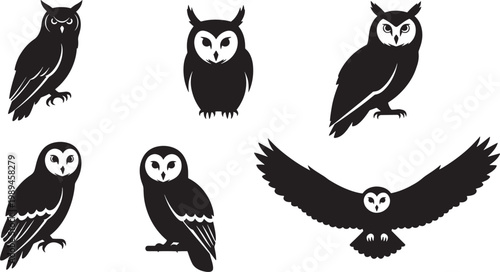 A captivating collection of graphic owl designs, depicting these nocturnal birds of prey in distinct postures, from watchful perches to graceful flight, ideal for vector art