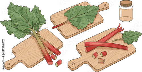 Cartoon rhubarb stalks and leaves on cutting boards for cooking and preserving vector illustration