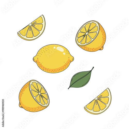 Fresh lemons and leaf a citrus still life illustration