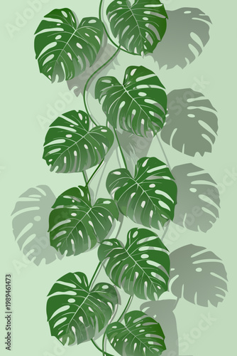A vibrant illustration of monstera deliciosa leaves and their shadows