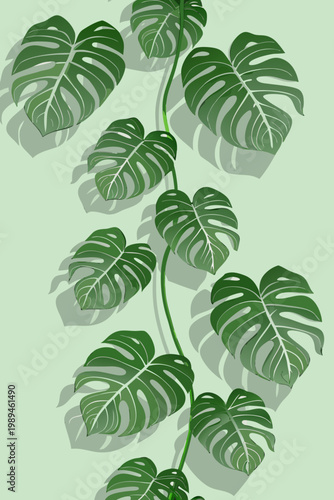 Stylized monstera deliciosa leaves cascading down a pale green background