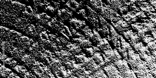 Abstract black and white texture resembling tree bark or weathered stone