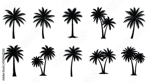 Set of ten black silhouette icons showing different species and groupings of palm trees on a white background.
